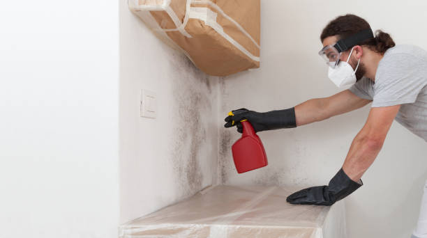 Professional Attic Mold Removal technician working in Graham, NC