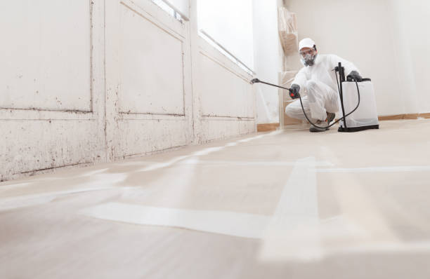 24/7 Emergency Attic Mold Removal experts in Graham, NC